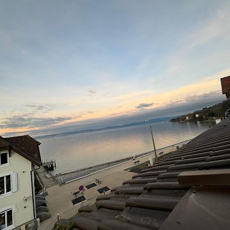 Le Cocon Du Leman Un Espace Cosy Ou Vous Retrouver Амфион-ле-Бен Экстерьер фото